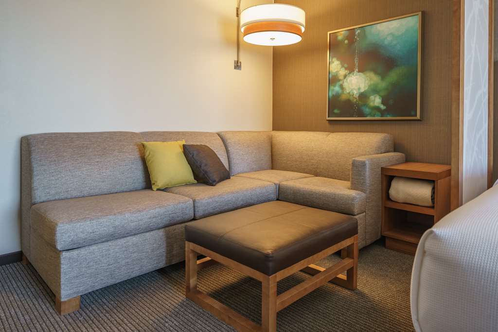 Hyatt Place Houston Galleria חדר תמונה